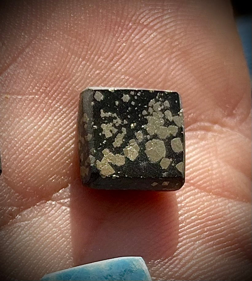 Pyritschiefer de Grindelwald, BE (Argilite à Pyrites)