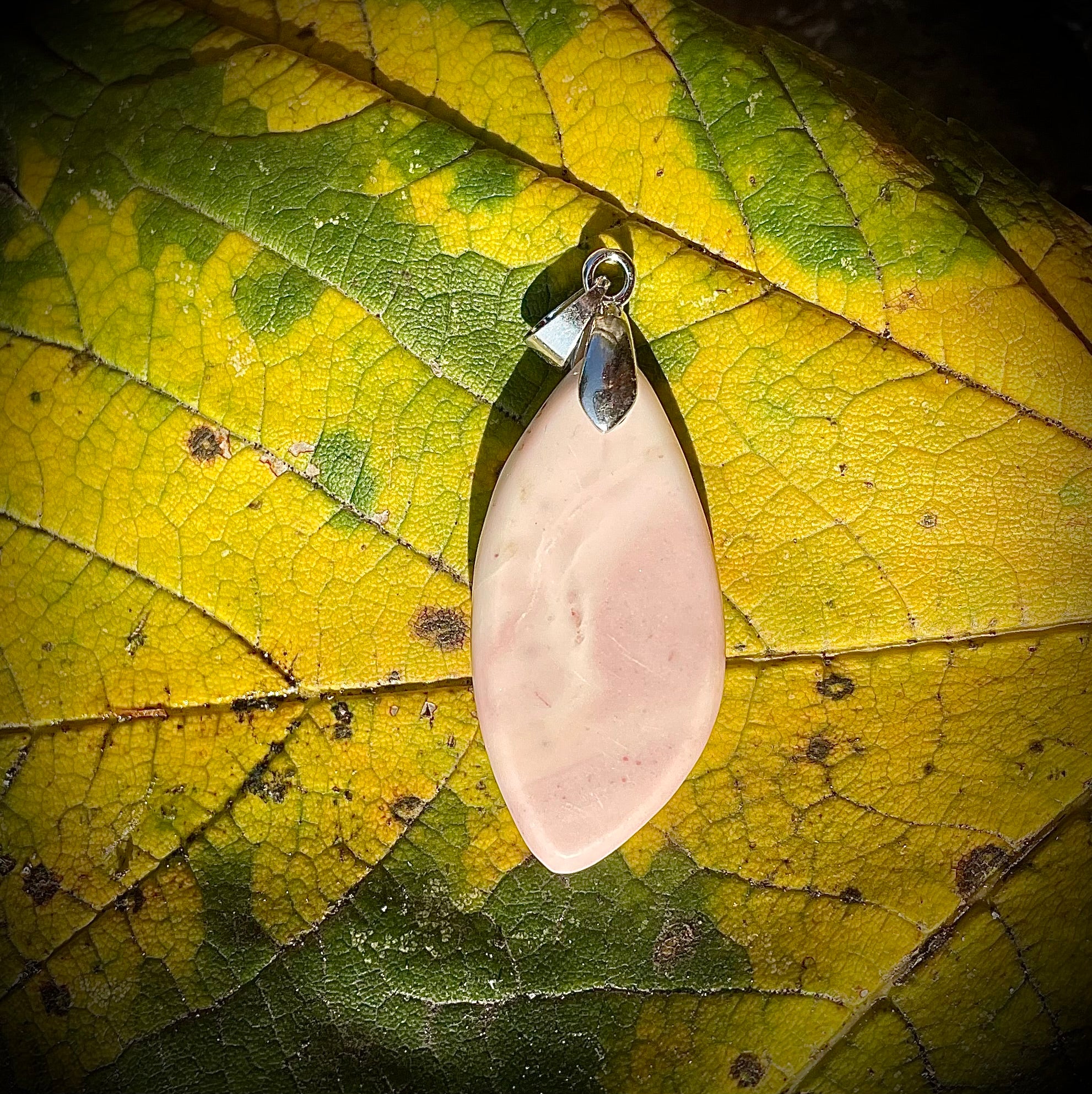 Calcaire Rose de Splügen, GR