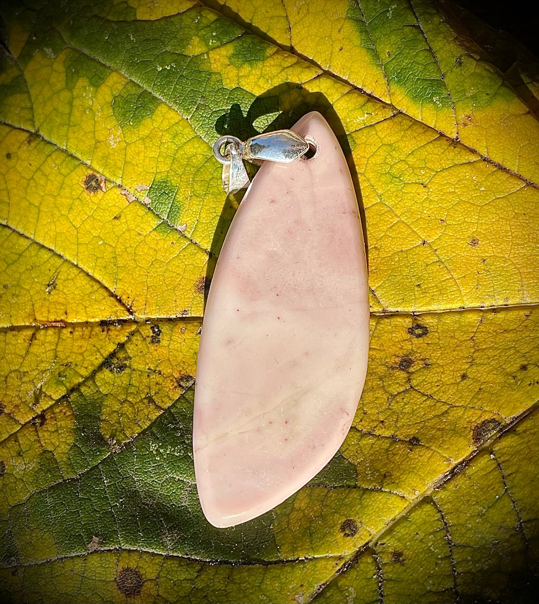 Calcaire Rose de Splügen, GR