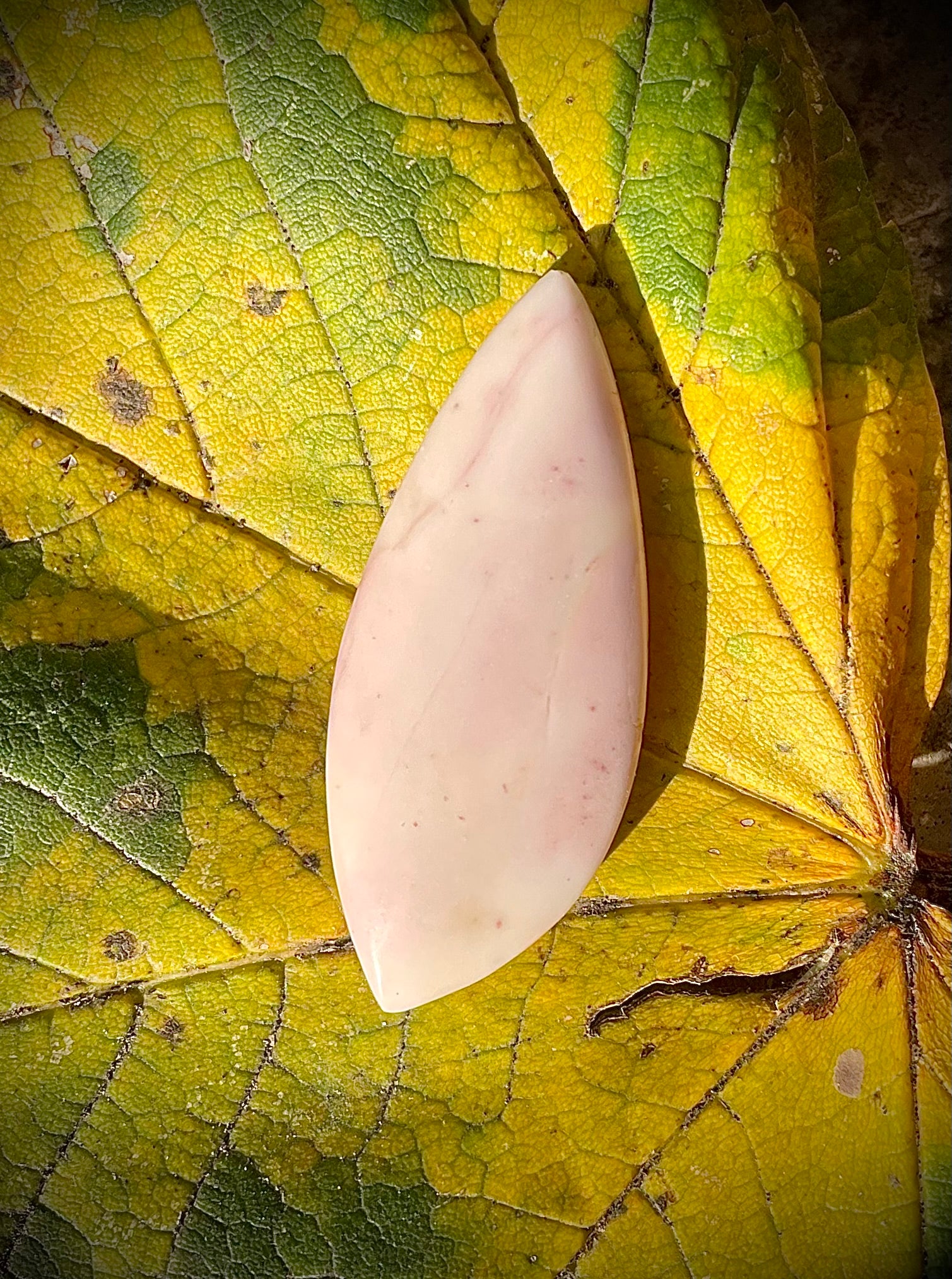 Calcaire Rose de Splügen, GR