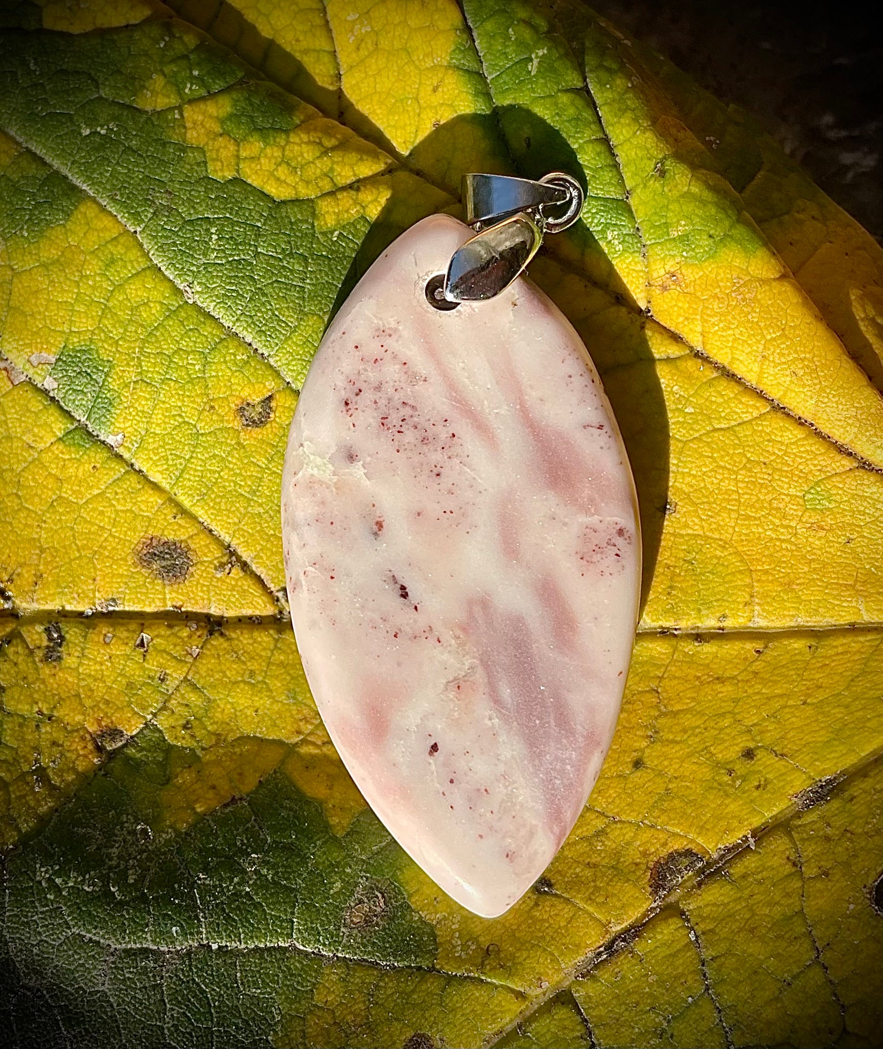 Calcaire Rose de Splügen, GR