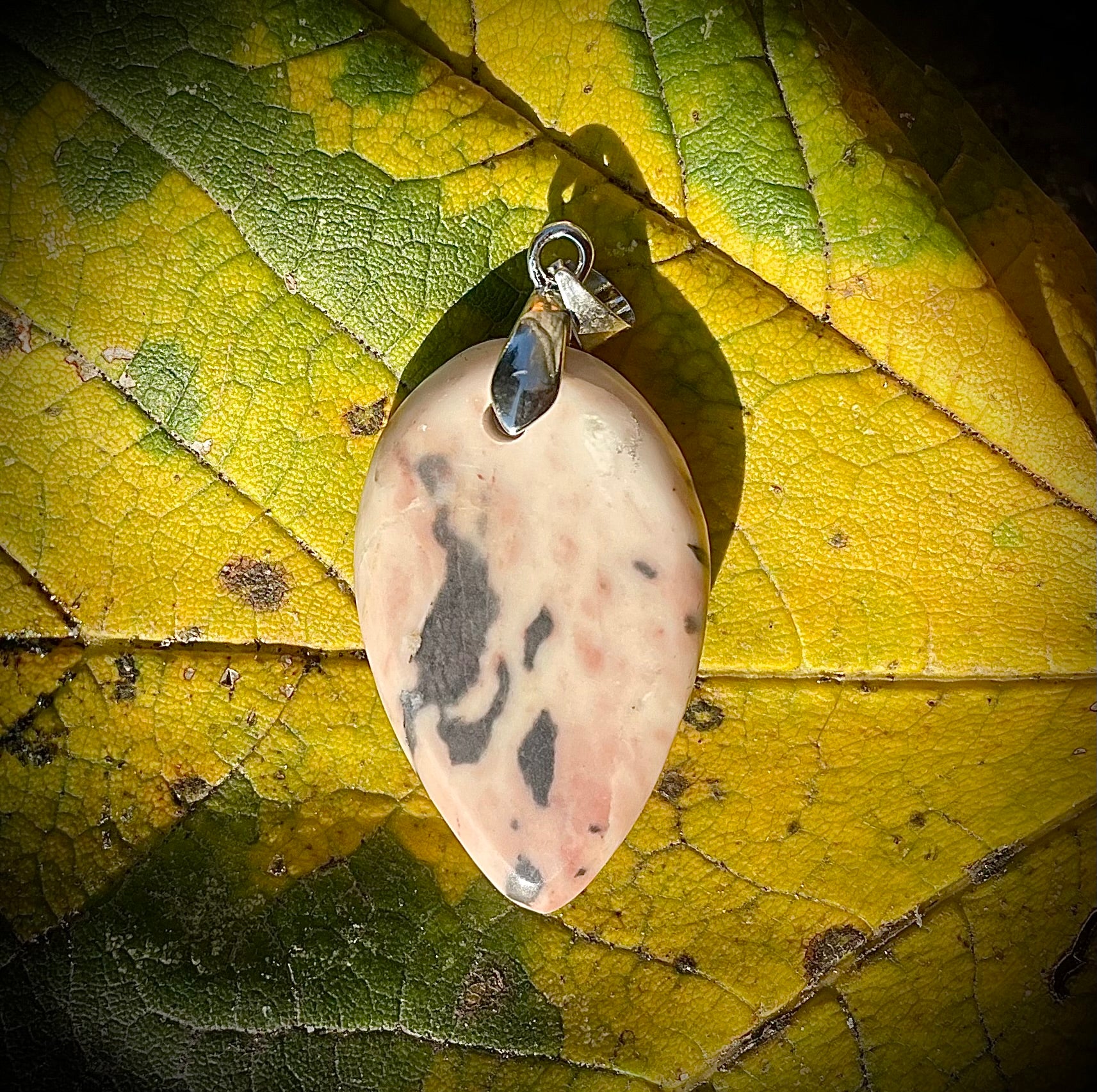 Calcaire Rose de Splügen, GR