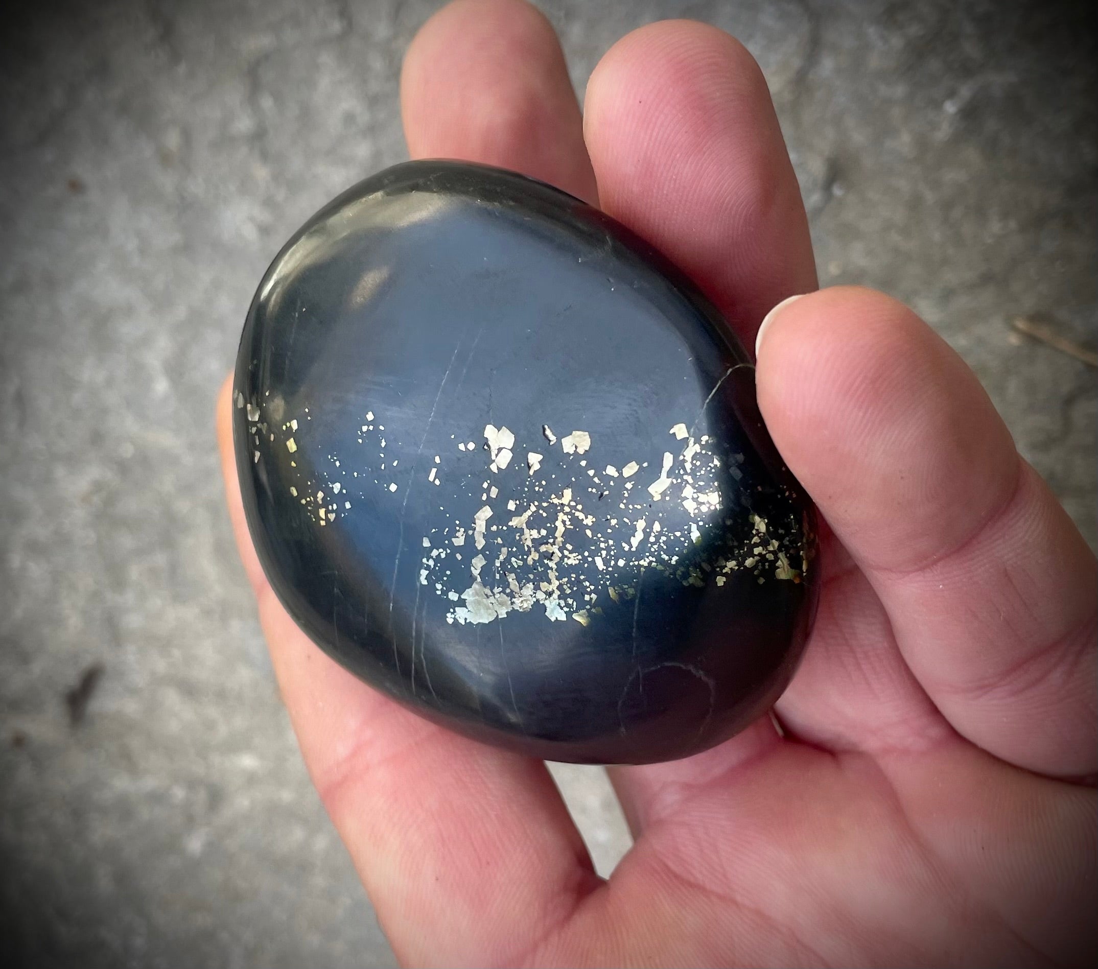 Pyritschiefer de Grindelwald, BE (Argilite à Pyrites)