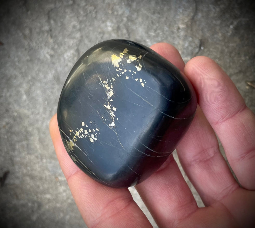 Pyritschiefer de Grindelwald, BE (Argilite à Pyrites)