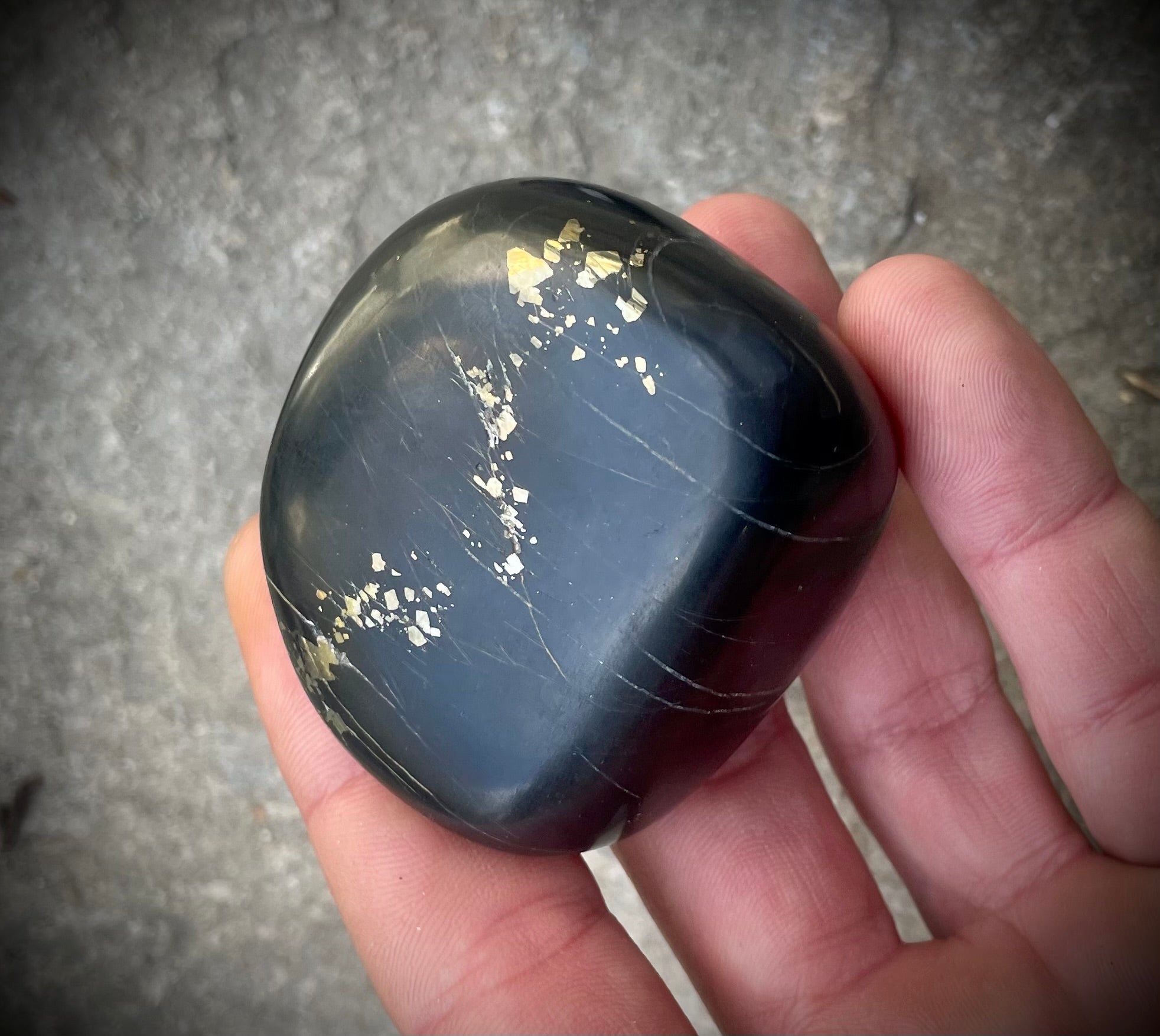 Pyritschiefer de Grindelwald, BE (Argilite à Pyrites)