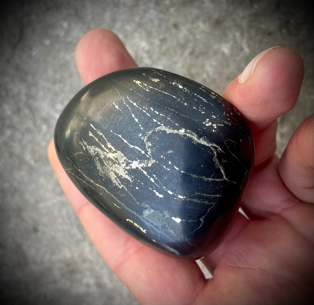 Pyritschiefer de Grindelwald, BE (Argilite à Pyrites)