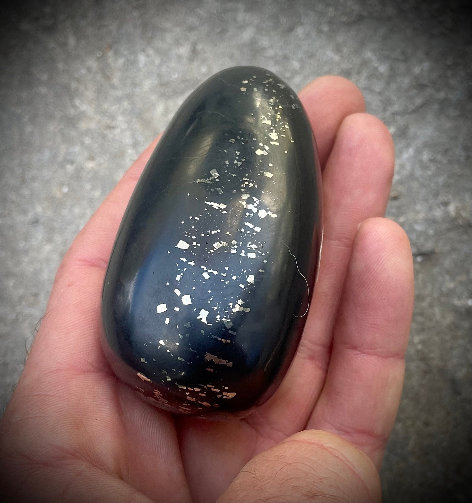 Pyritschiefer de Grindelwald, BE (Argilite à Pyrites)