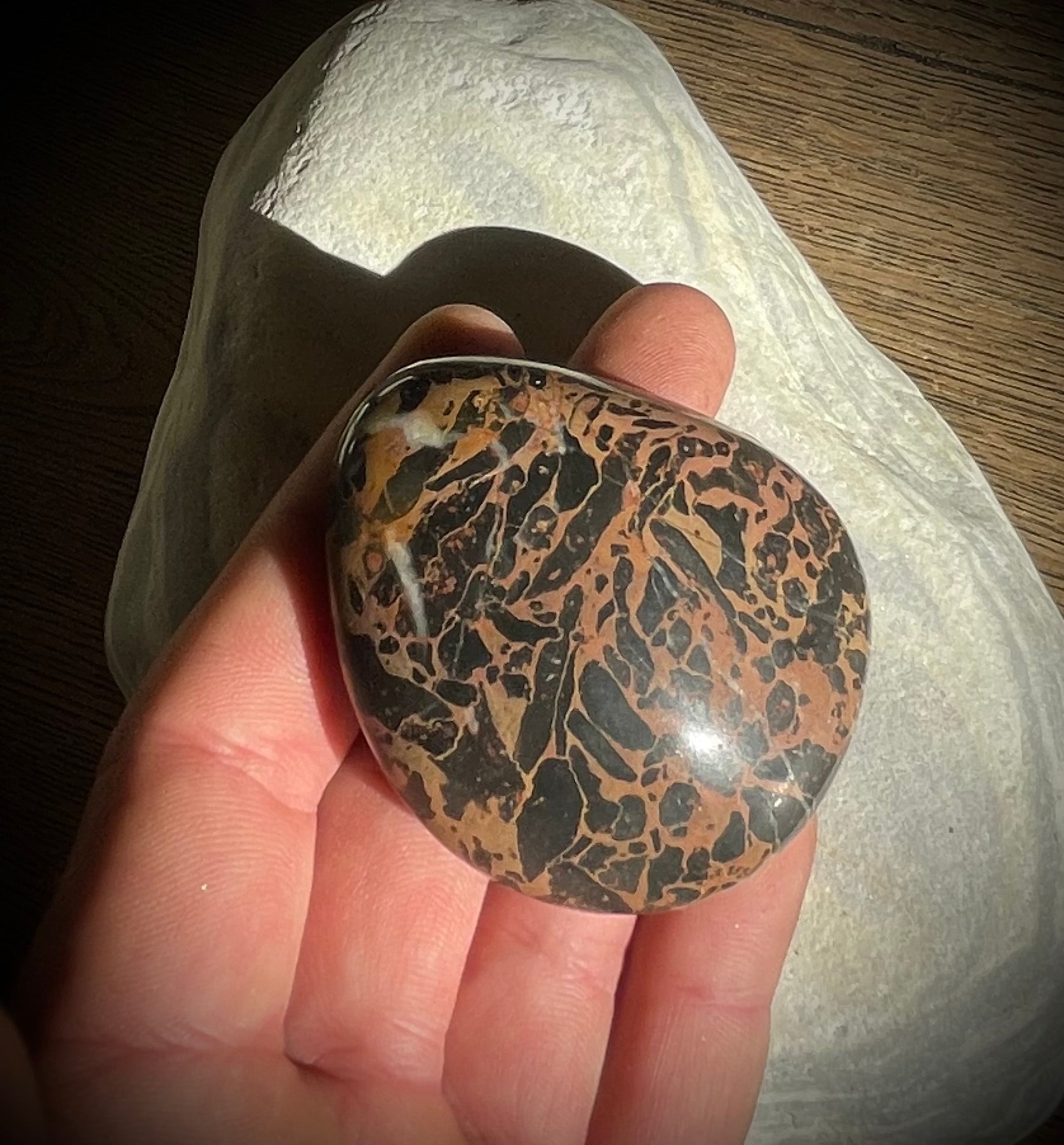 Marbre du Simmental, BE / Grande pierre