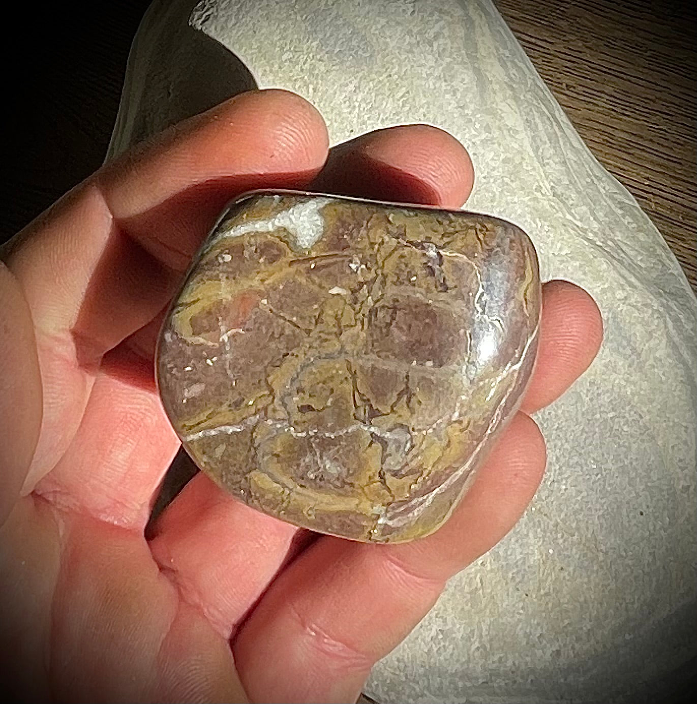 Marbre de Roche (VD)