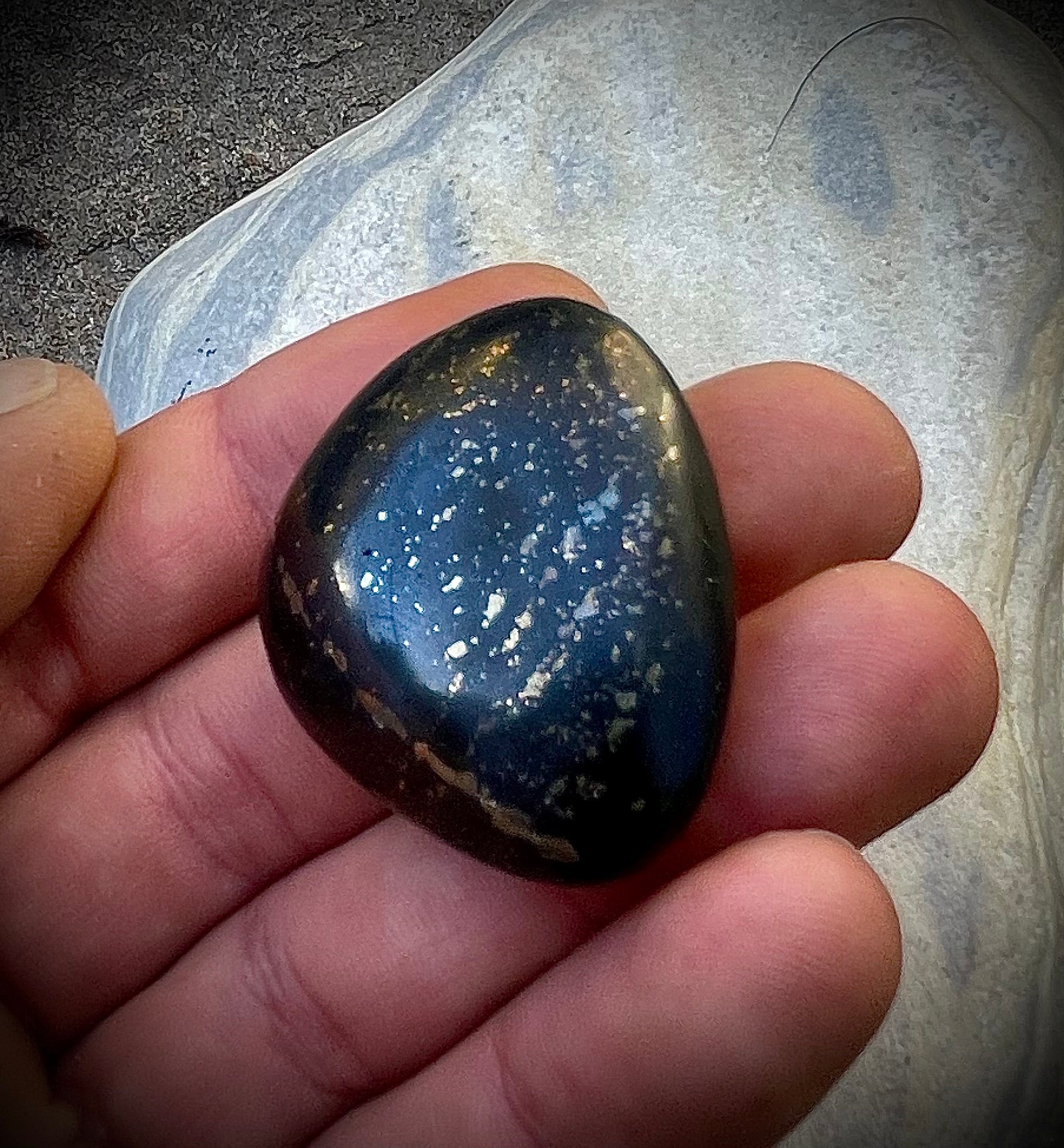 Pyritschiefer de Grindelwald, BE (Argilite à Pyrites)