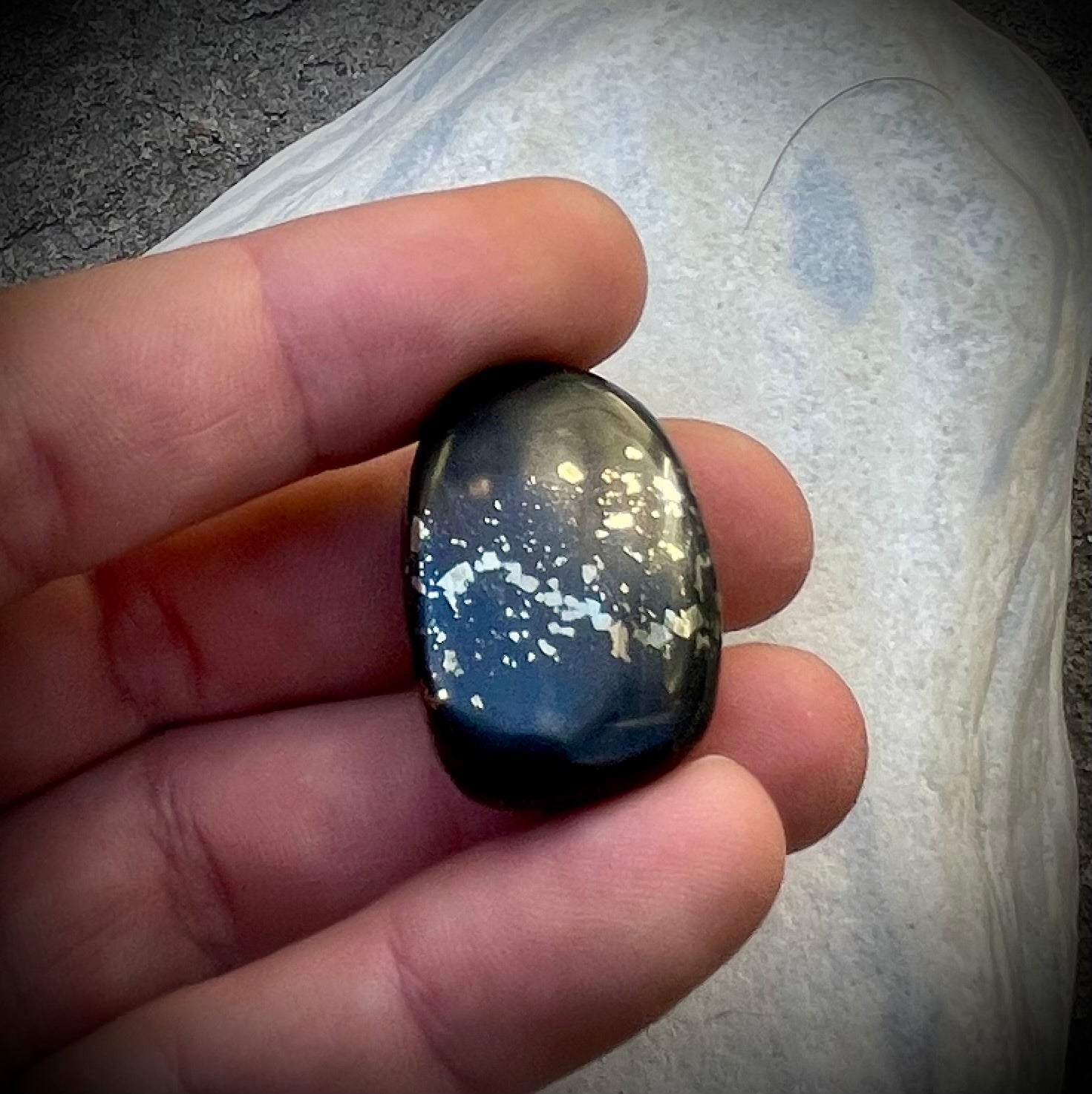 Pyritschiefer de Grindelwald, BE (Argilite à Pyrites)