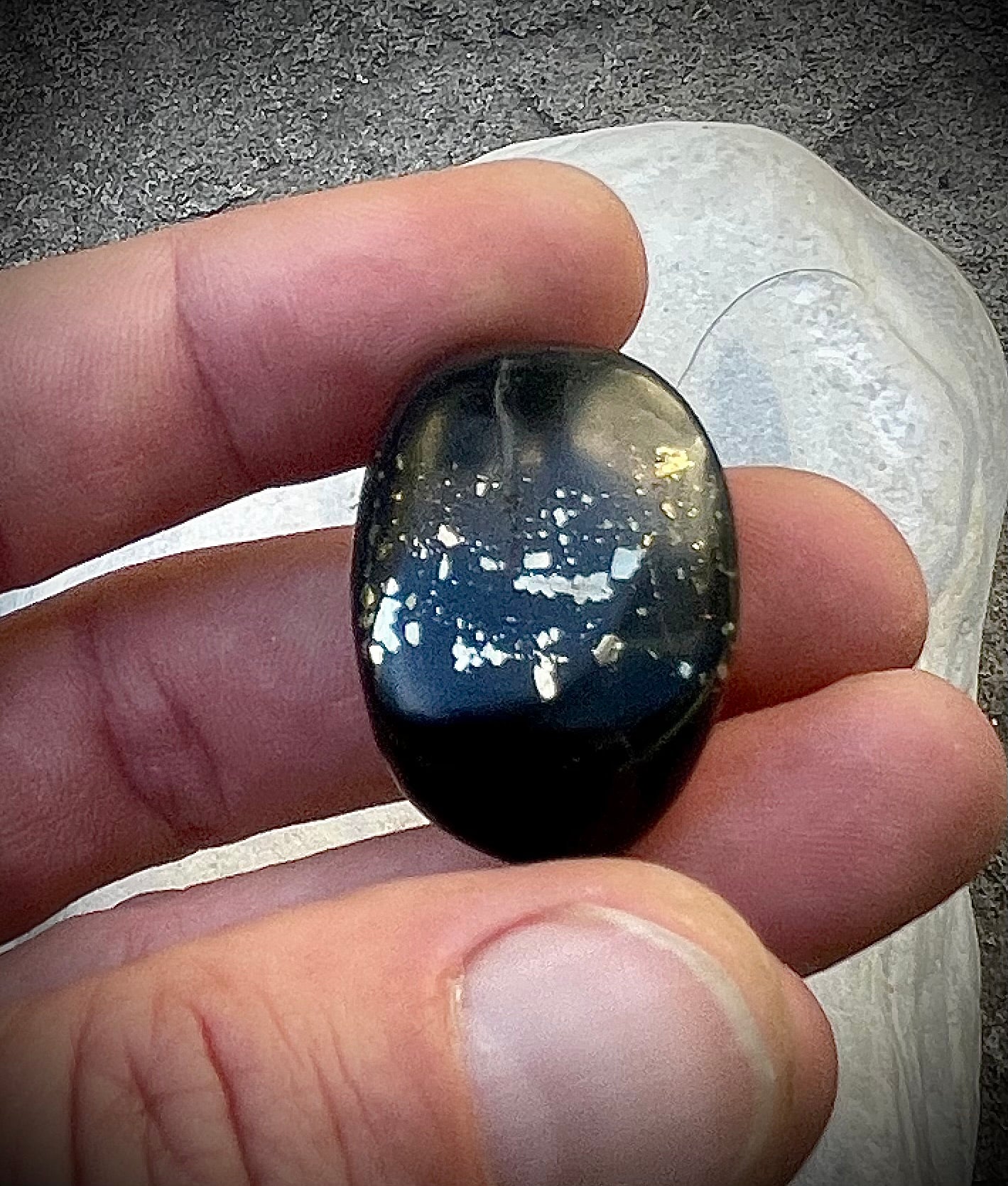 Pyritschiefer de Grindelwald, BE (Argilite à Pyrites)