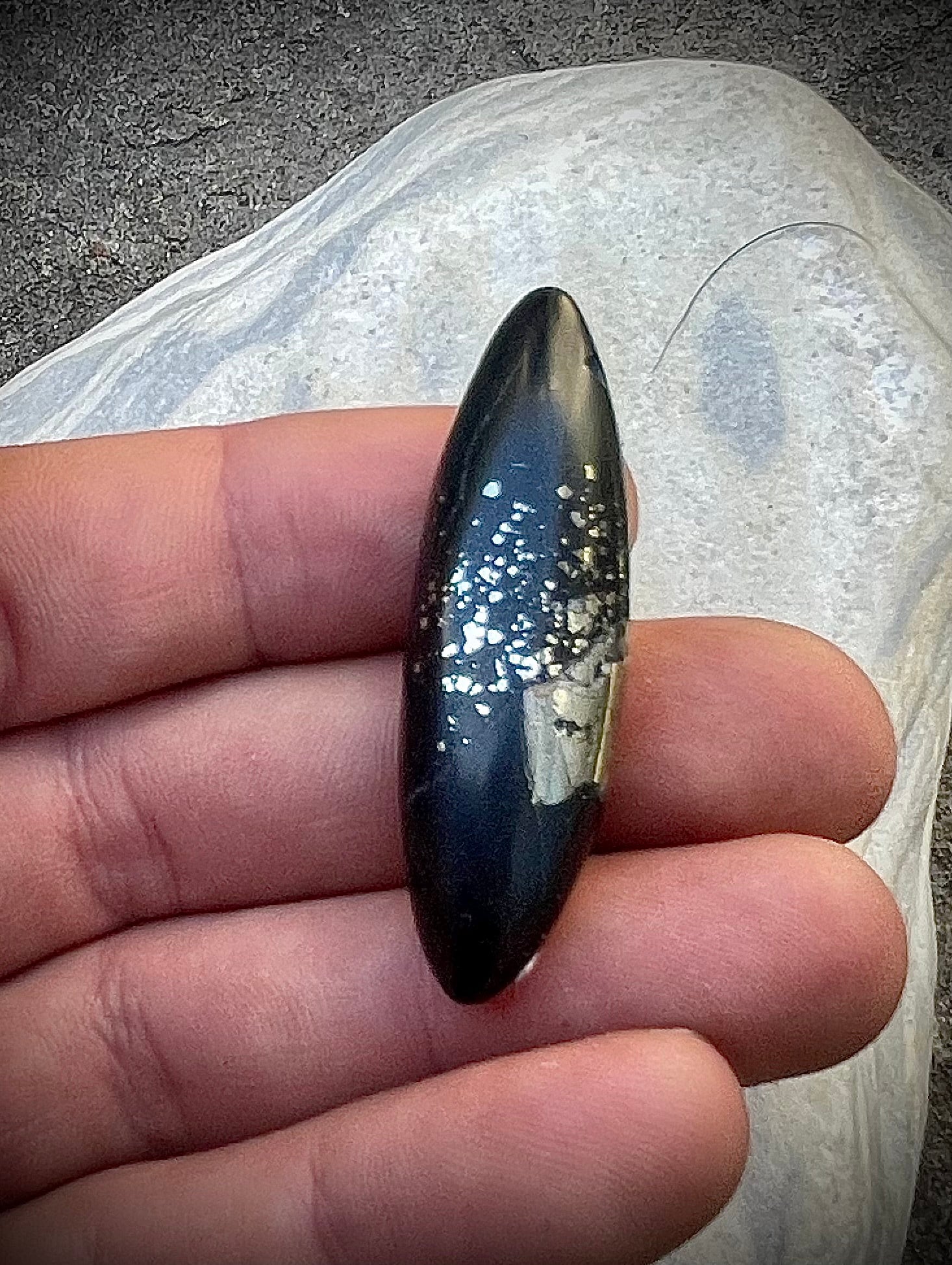 Pyritschiefer de Chamoson, VS(Argilite à Pyrites)