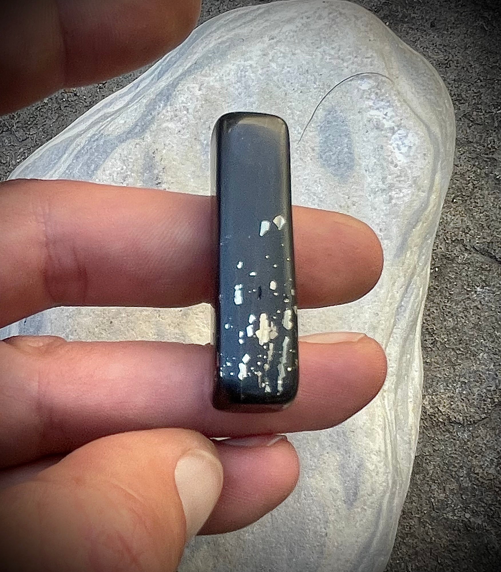 Pyritschiefer de Grindelwald, BE (Argilite à Pyrites)