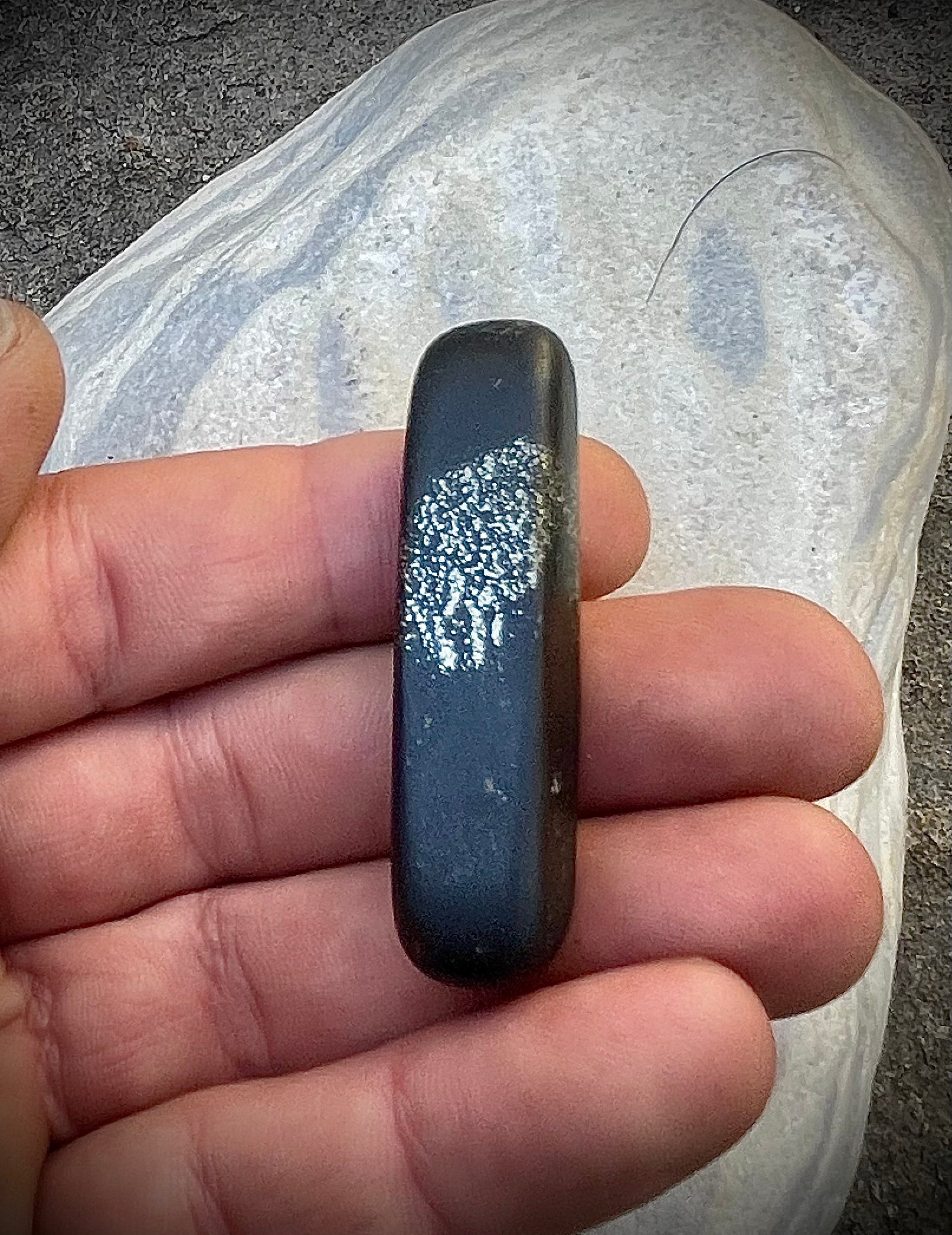 Pyritschiefer de Chamoson, VS (Argilite à Pyrites)